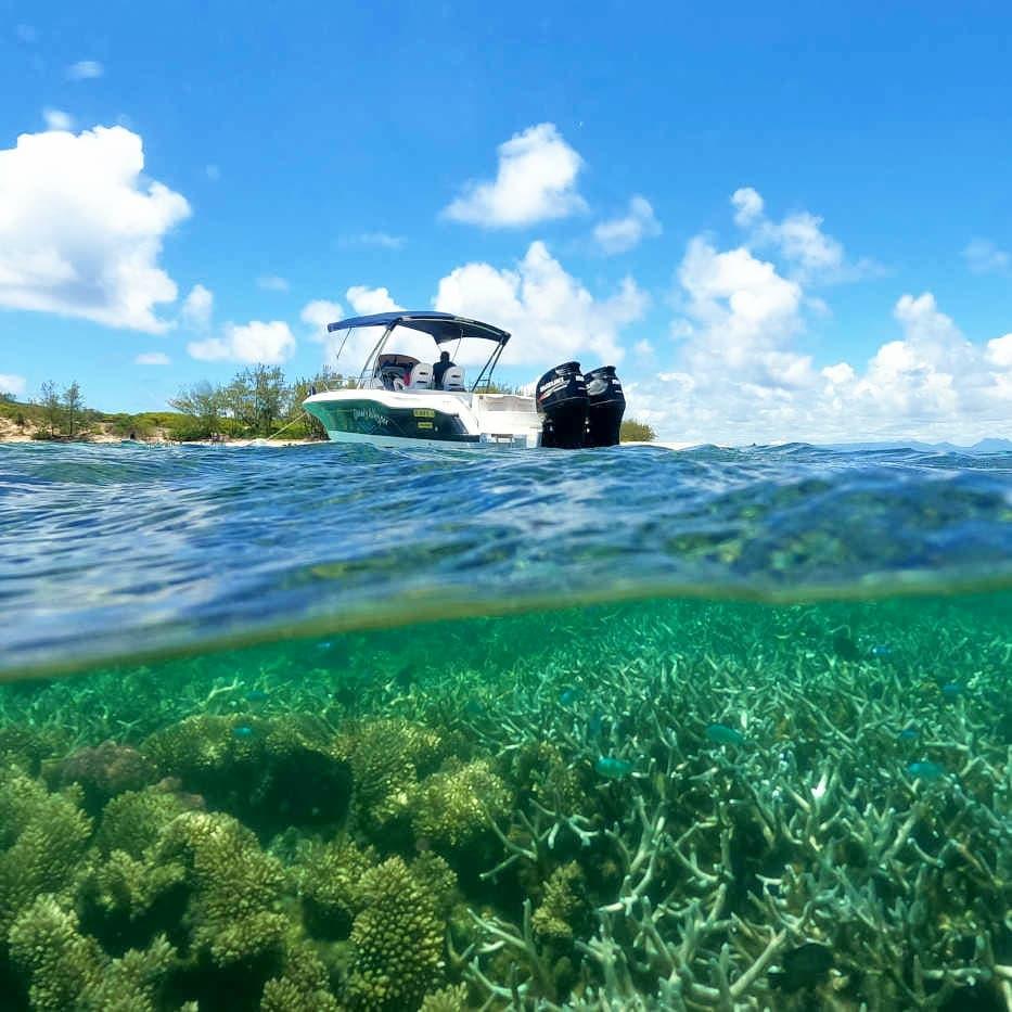 Snorkeling in Mauritius